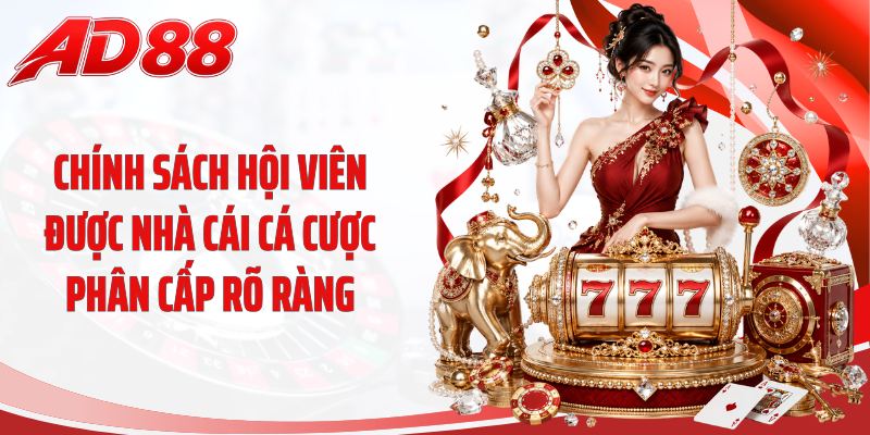 Chính sách hội viên được nhà cái cá cược phân cấp rõ ràng